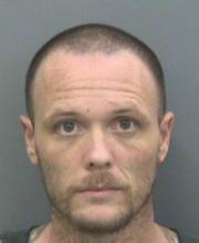 Shannon Holland