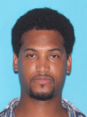 Florida sex offenders search details | <b>MICHAEL HANLIN</b> II | jacksonville.com - CallImage?imgID=2393597