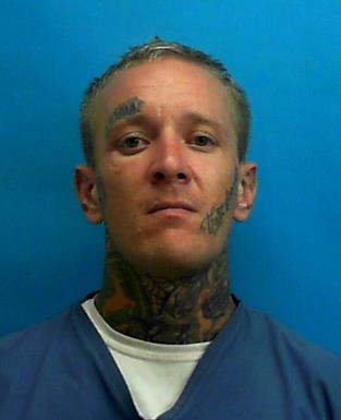 STEVEN M SHAVER