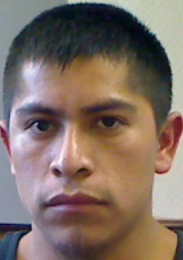 ROLANDO SEBASTIAN