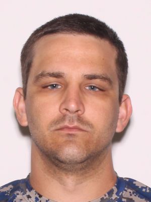 ANTHONY ROZEK WILKS