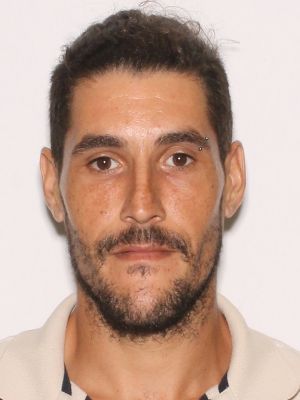 CALVIN LUIS CAMEJO
