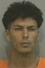Martin C Andes