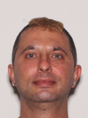 MICHAEL ANDREW MEHALICK