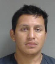 OCTAVIO PEDRO JOSE