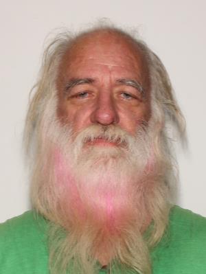 DAVID LESLIE JOHNSON