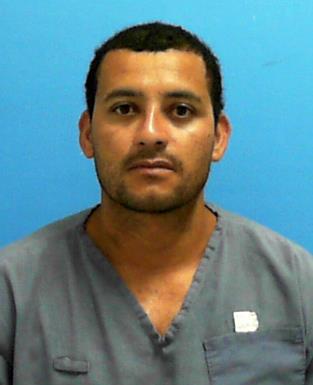 WALTER ADALID REYES GEORGE