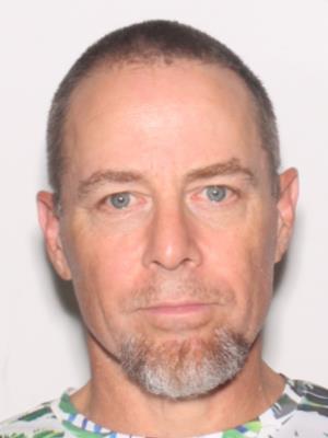 DANIEL DYSON BRIDGES
