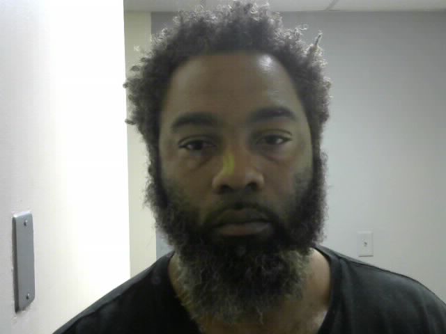 STEVEN L JOHNSON