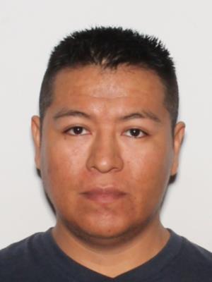 SILVESTRE DEJESUS RESENDIZ JR
