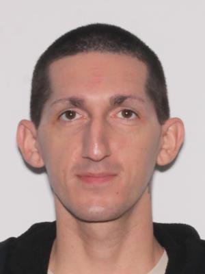 ANTHONY JAMES DEMICHELE