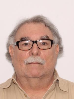 Gino Raffaelle Senesi