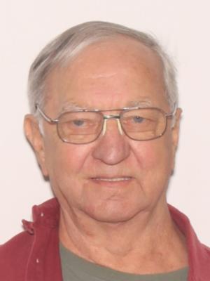 Louis Andrew Dizor Jr