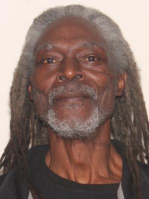 Robert Lee Lewis Jr