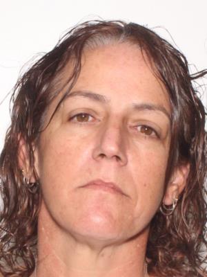 Terri Lee Patnode