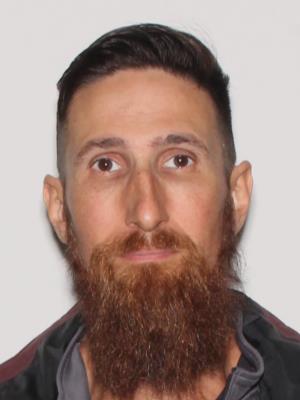 BRANT WILLIAM VOLLENDORF