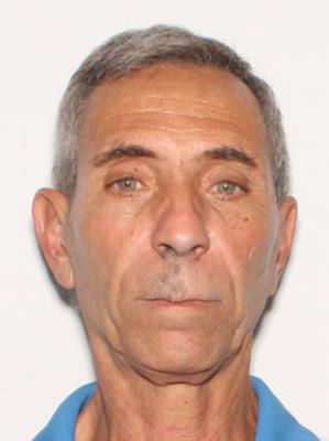 Michael J Petsoules
