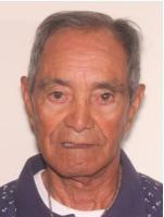 Ramon Fontanes Morales