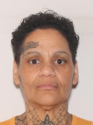 Laurie Michelle Ingman