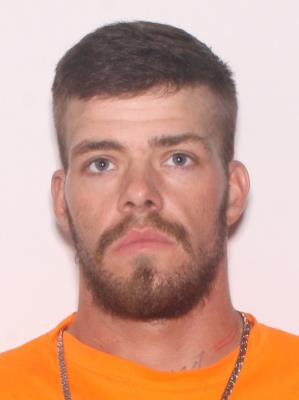 ALAN MICHAEL NORMAN