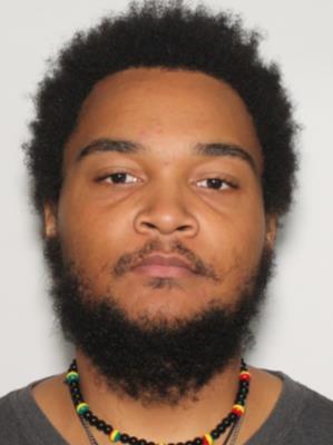 REGINALD LAMAR WILLIAMS JR