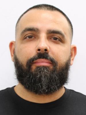 MICHAEL ALBERTO
