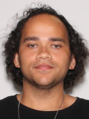 ANTHONY MICHAEL HOLMES