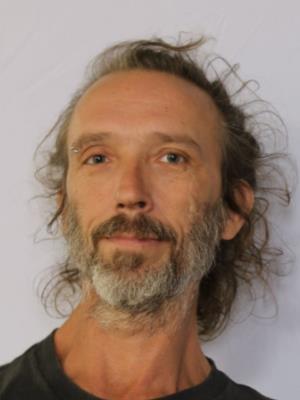 MARK C GRIFFIS