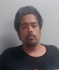 MICHAEL ANGELO LEE ZAPATA