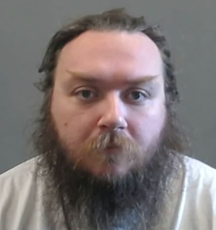 MICHAEL DAVID BRASWELL