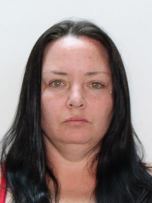 洋楽 Youthful Offenders DOMINATION FDLE - Sexual Offender and Predator System