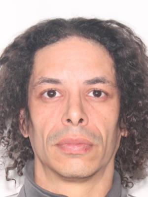 JOEL BRANDON TORRES