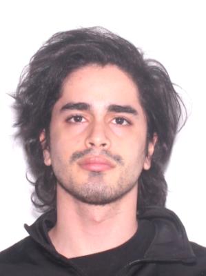 DAVID ENRIQUE SANTANA GONZALEZ