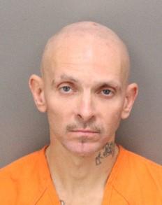 TODD MICHAEL STEWART