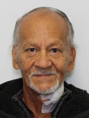 MIGUEL A MORALES VEGA