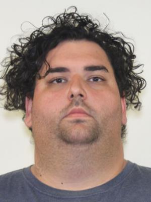 MICHAEL LEE MCCOY JR