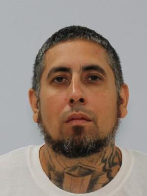 JOHNNY RAY GIBBS