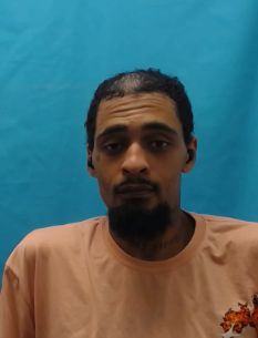 Raymond Devon Haynes
