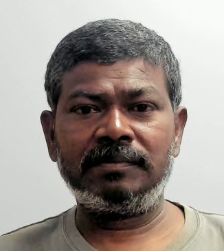 David P Lazarus