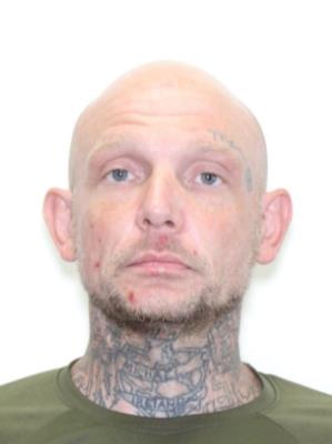 DAVID JAMIE BROWN