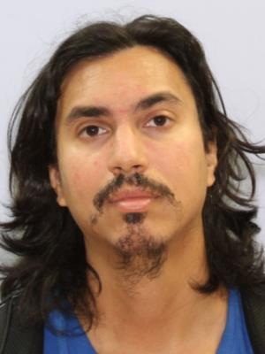 FDLE - Sexual Offender and Predator System