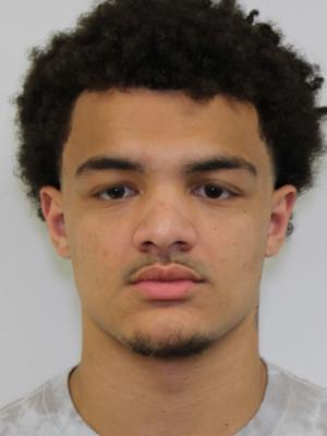 Brendan Adrik Perkins