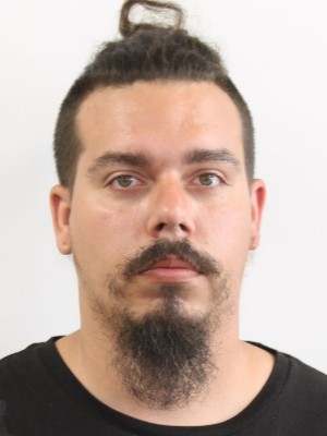 WILLIAM DWIGHT SUMMEY