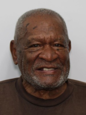 DAVID L DIXON