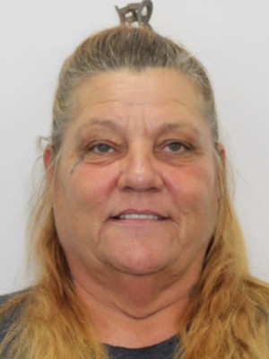 Lisa Anne Newell
