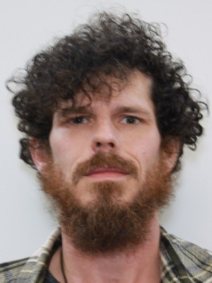 JAMES DANIEL BRADFORD