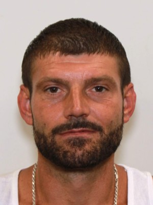 DOUGLAS MITCHELL CRIBBS