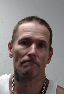 Photo of MELTON, STEVEN GAIL
