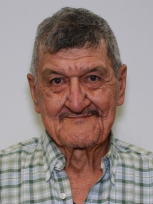 Roberto Gonzalez Almenas