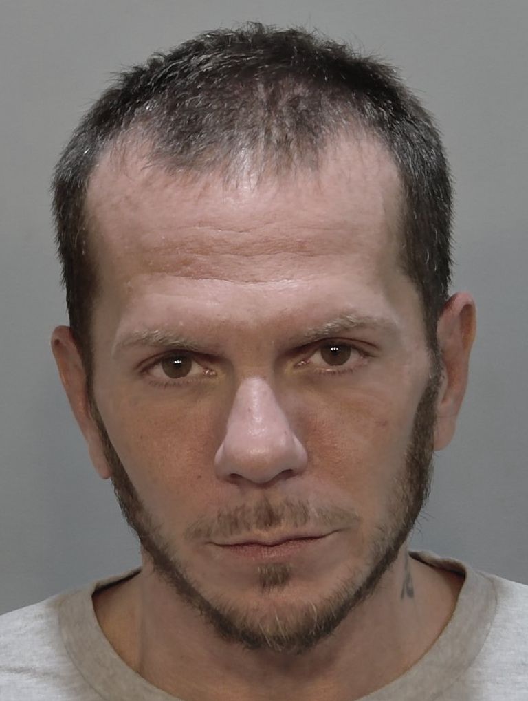 洋楽 Youthful Offenders DOMINATION FDLE - Sexual Offender and Predator System